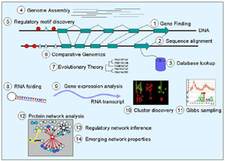 Image summarizing challenges in computational biology. Image summarizing challenges in computational biology.